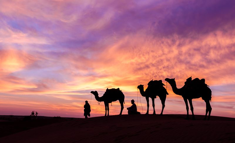 Balades à dos de chameau à Pétra et Wadi Rum